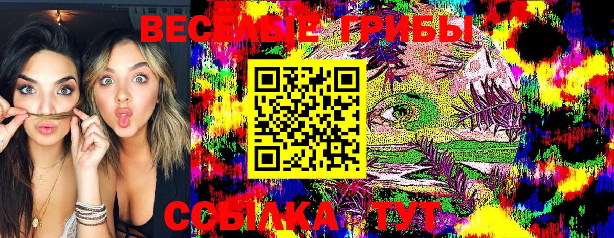 Таганрог  где найти наркотики  Вход с VPN  Псилоцибиновые грибы ЛСД 